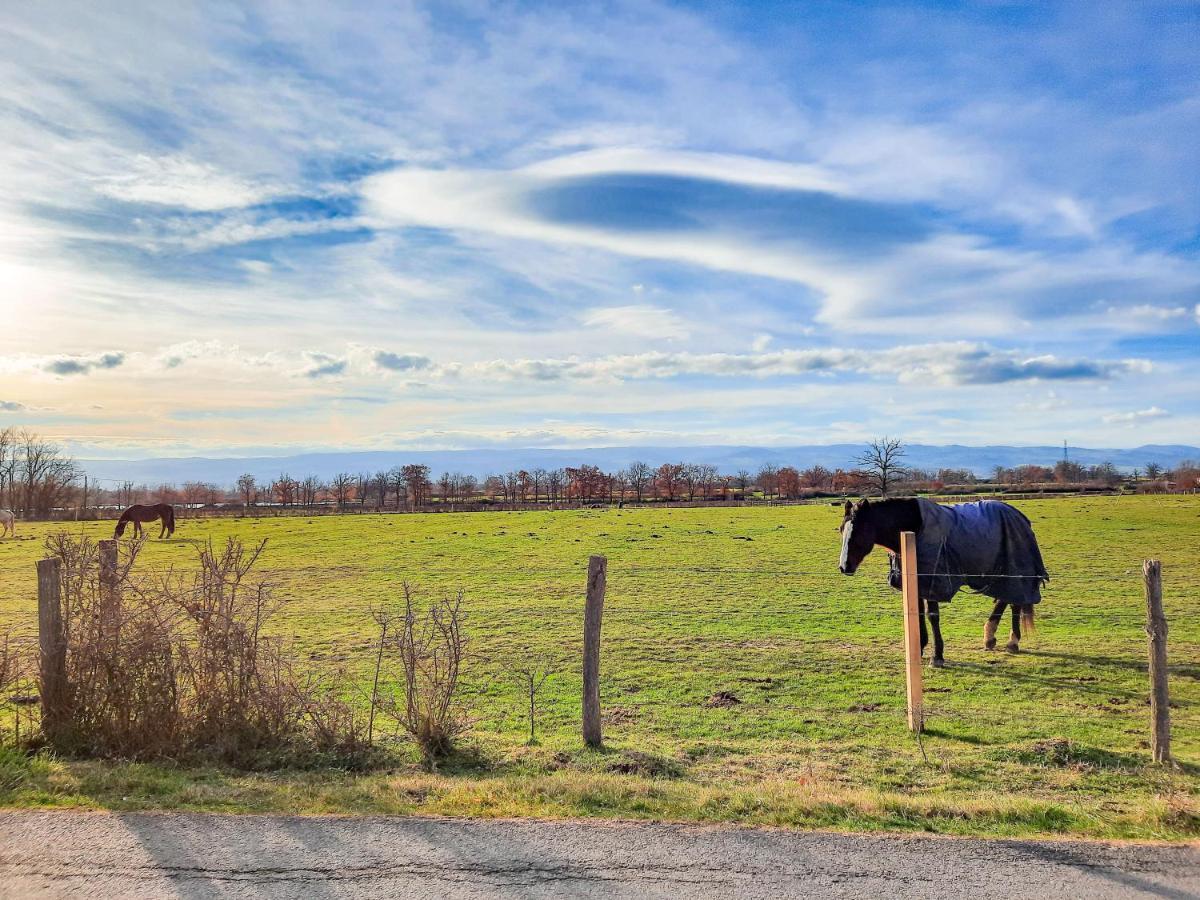 Le Cottage Du Parc Chambeon Exteriér fotografie